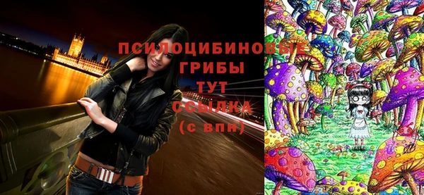 амфетамин Богородицк