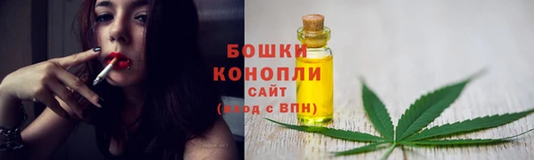 экстази Бородино