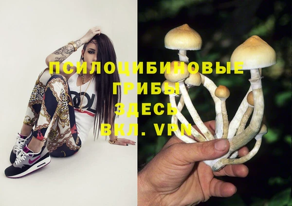 амфетамин Богданович