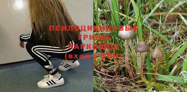 ALPHA PVP Богородск
