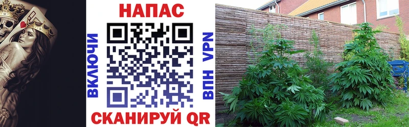 Каннабис Ganja  Купить где  Лангепас 